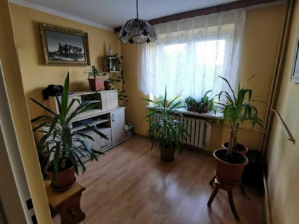 2 domy Bytom, Stolarzowice bez pośrednika