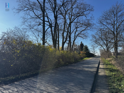Działka Kolonia Łaznów ul.  