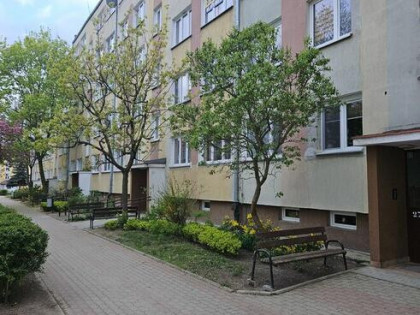 Sprzedam mieszkanie 2 pokoje Polkowice Skrzetuskiego