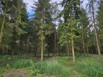 Działki bud. 1202M2; WZ; STUDNIE