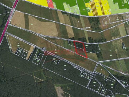 Działka rolna 1,67 ha – Grodziec, gmina Ozimek