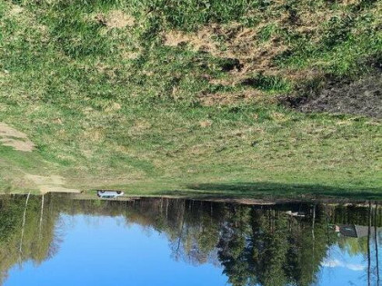 Posiadam do sprzedaży działki budow. 800 m jezi.Zdworskiego