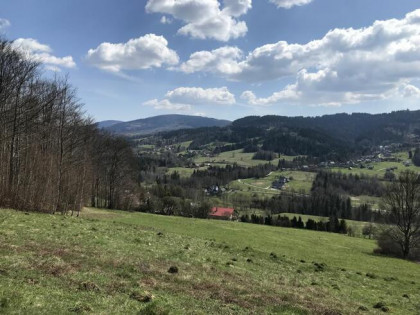 Działka rolna Pewel Wielka gm. Jeleśnia Buławka,