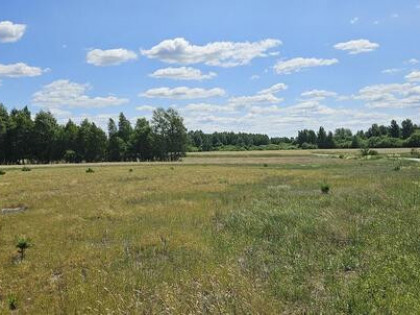 Działka bud. 1090M2; 1341M2; Nowa Wola
