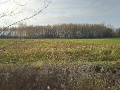Działka bud. 2600M2; Nowa Wola