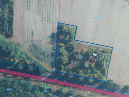 Działka inwestycyjna Wola Koszucka-Parcele gm. Słupca