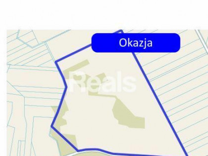 Duża działka  51 ha z potencjałem inwestycyjnym