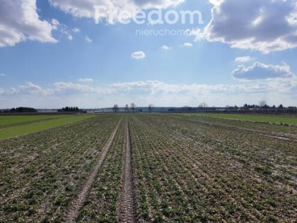 Działka inwestycyjna 0,88ha, Produkcja i usługi