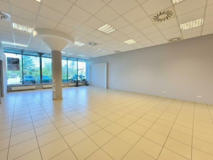 Lokal użytkowy Opole