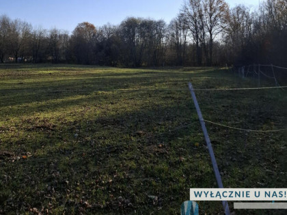 Działka rolna Tomaszówka gm. Lipsko,