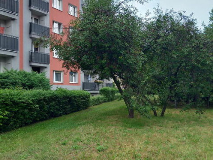 Sprzedam m5