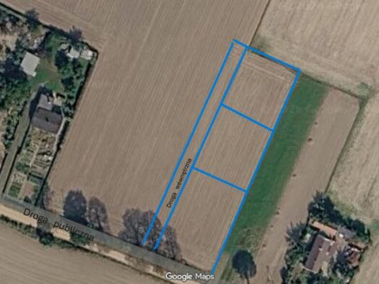 Sprzedam 3 działki budowlane - Siemianów k. Kutna