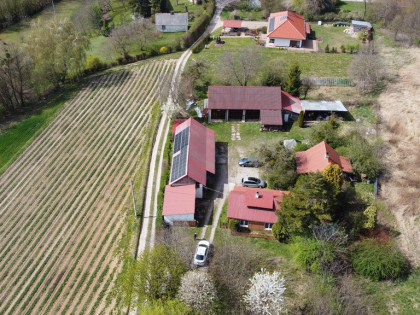 Siedlisko 3031 m2  Skowieszynek  Kazimierz Dolny.