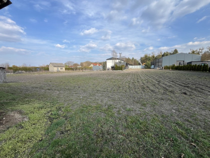 Działka 25arów-Uściąż/Kazimierza Dolnego 219000zł