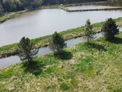 5,42 ha, Stawy rybne, las, Zemborzyce, Lublin