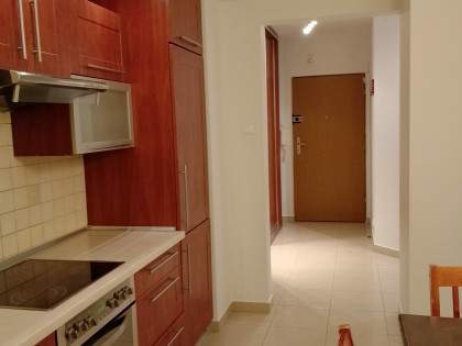 Mieszkanie do wynajęcia 2 pokoje 53 m kw + miejsce postojowe w garażu