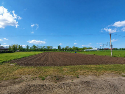 Działka budowlana Łazy gm. Kampinos,