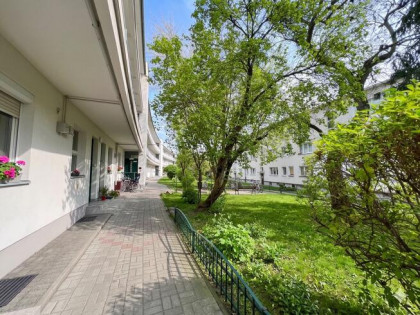 Kawalerka przy uL.Suzina na Żoliborzu z dużą piwnicą
