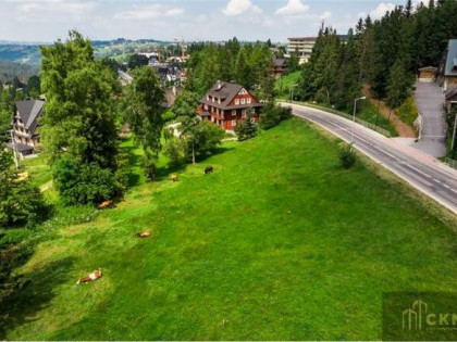 Lokal użytkowy Bukowina Tatrzańska, Tatrzańska
