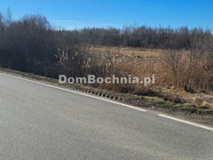 Działka przemysłowa Borek gm. Rzezawa
