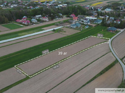 Działka 39 ar z WZ, Wola Wielka, gm. Żyraków