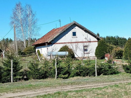 Sprzedam dom z czerwonej cegły w gminie Jonkowo