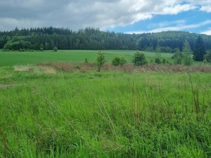 Działka budowlana Witoszów Świdnica dolnośląskie malownicza