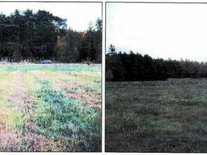 Działka, 4 999 m², Słonów