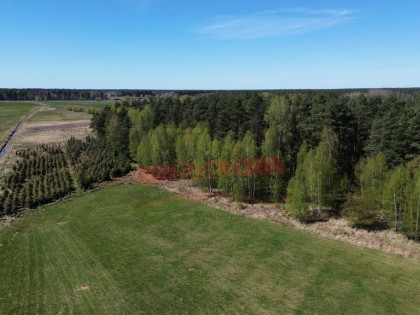 Działka rolna 1,67 ha – Grodziec, gmina Ozimek