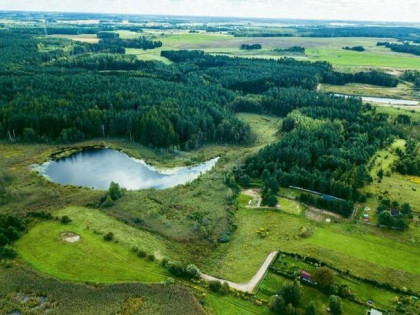 Działka rolna Płociczno gm. Ełk,
