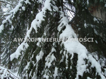 Działka budowlana Słubica B gm. Żabia Wola