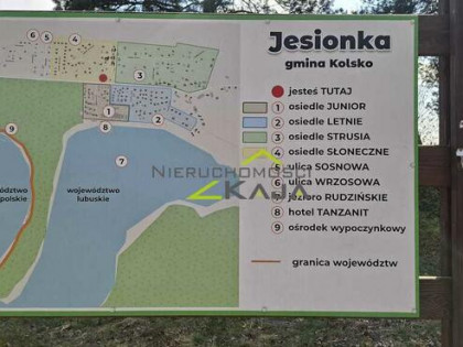 Zamieszkaj blisko natury - działka 1217m2 z WZ
