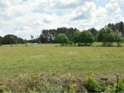 Syndyk sprzeda-Tartak i Sul, nieruchomość gruntowa 2,0711 ha