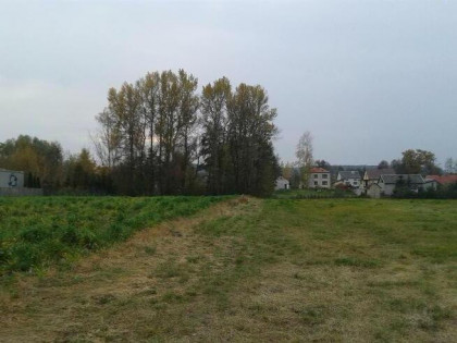 Działka 5200 m2 Bogucice Pierwsze przy szosie Pińczów-Busko