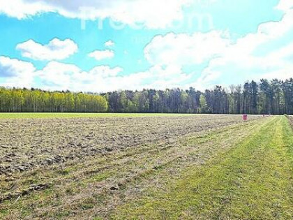 Działki budowlane na sprzedaż - Zahajki