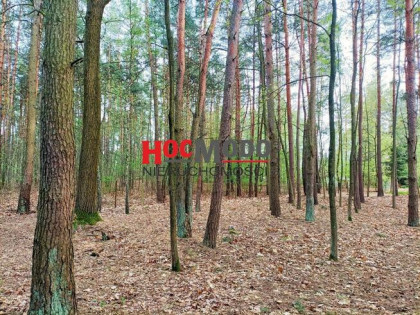 Działka budowlana Karolino gm. Serock