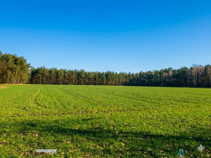 Działka inwestycyjna Śródborze gm. Baboszewo,
