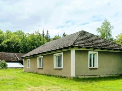 Dom koło Szczucina
