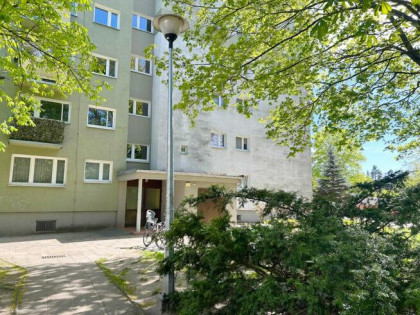 Mieszkanie Poznań gm. Poznań-Grunwald Grunwald, Olszynka