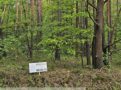 Leśna działka na sprzedaż