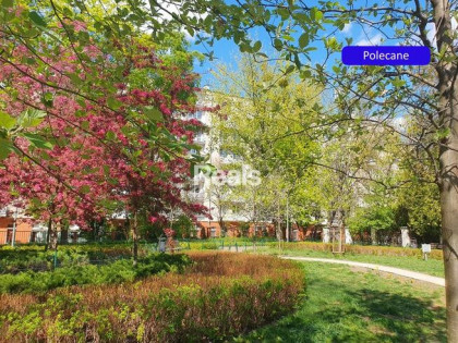 BAJECZNY WIDOK,BALKON,WINDA,PARKING,METRO