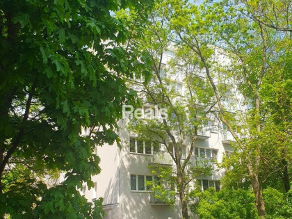 ŚWIATŁO I ZIELEŃ NA CO DZIEŃ, CICHE 2POK.w CENTRUM