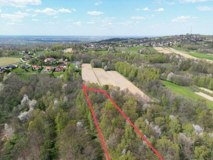 Działka leśna Zawada gm. Tarnów