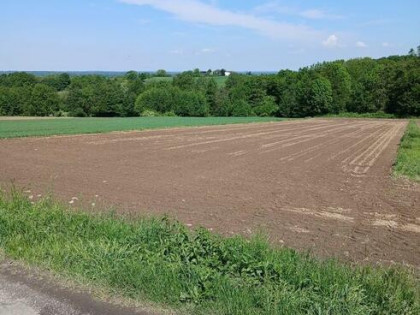 Wiślica - działka rolna na sprzedaż.
