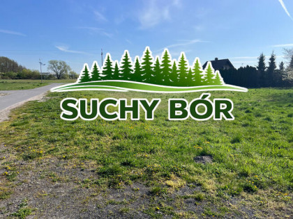 Działka budowlana Suchy Bór gm. Chrząstowice, Niezapominajek