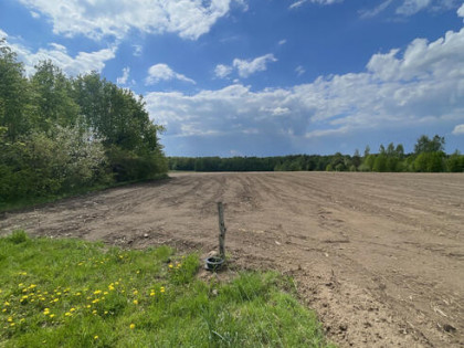 Działka rolna Kamienna Nowa gm. Dąbrowa Białostocka,
