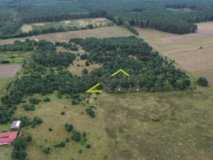 Działka niedaleko Pałacu Bruhla w Brodach