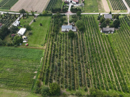 Na sprzedaż działka 0,9 ha z domem 280 m² – Świdno