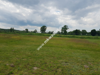 ⭐⭐⭐⭐⭐ Ustawna 1500m2 w cichej okolicy 45mx33m⭐⭐⭐⭐⭐