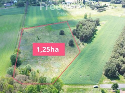 Duża działka 1,25 ha-Borucice